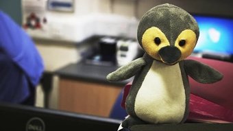 Great Ormond Street Hospital - Penguin Ward