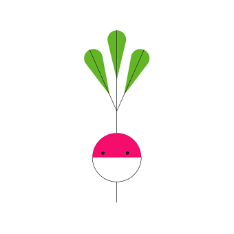 Mr. Radish