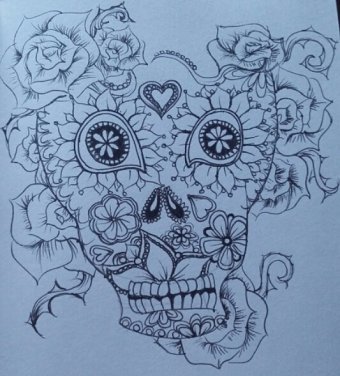 General Illustration