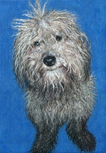 ANIMAL PORTRAITS BY ME.
