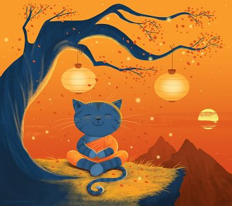 Zen Cat