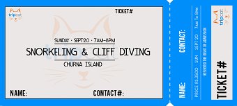 Ticket Design for TripCat Travels