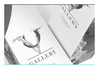 V Gallery Vodka // Rebranding + Packaging