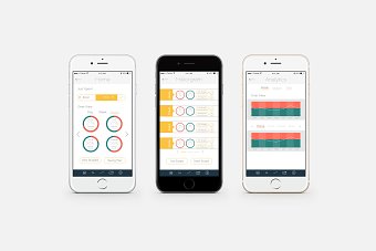WageWatcher App Design UI - UX - Digital