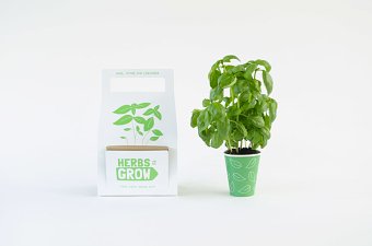 Herbs to Grow