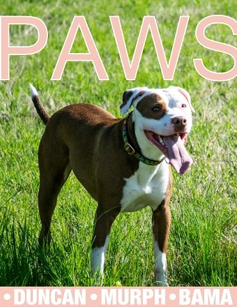 PAWS Magazine