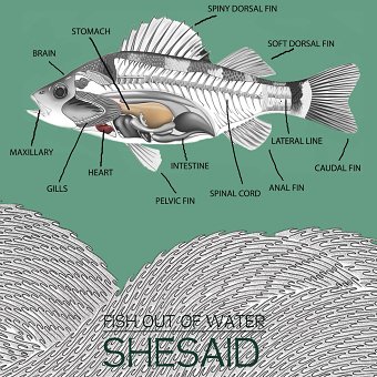 Fish Out of Water
