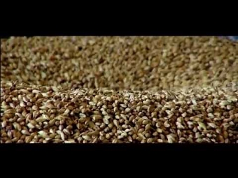 Dartmoor Brewery