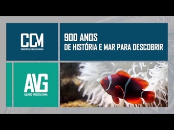 Motion Graphic | Comissão Cultural de Marinha
