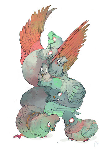The Pigeons