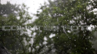 Logo Film