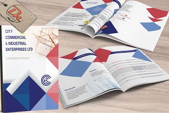 Profiles and Reports
