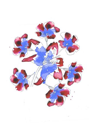 Flower pen and ink design