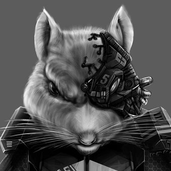 Chinchilla Warrior