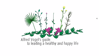 A.Vogel - Animated Brand Video - Script Writing