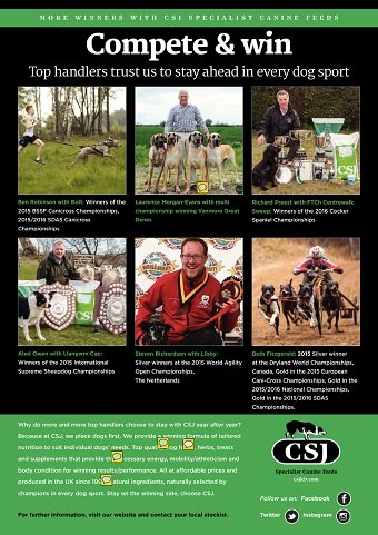 CSJ website, ads, scial media