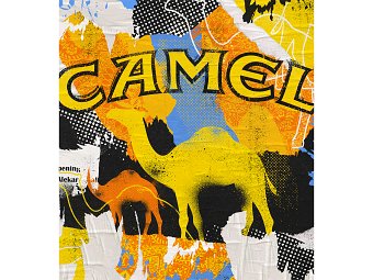 Camel
