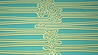 Turing Pattern