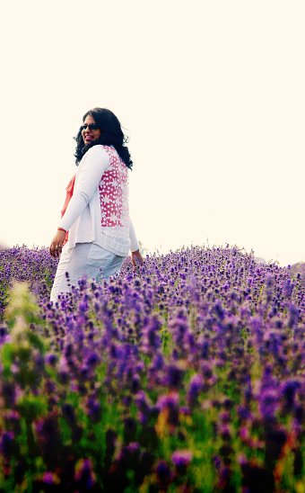 Lavender Fields