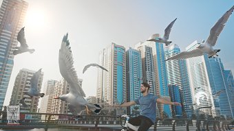 Sharjah TV - Channel Ident 2016