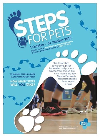 Steps for Pets