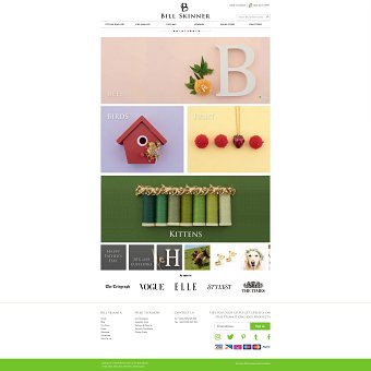 Bill Skinner Website