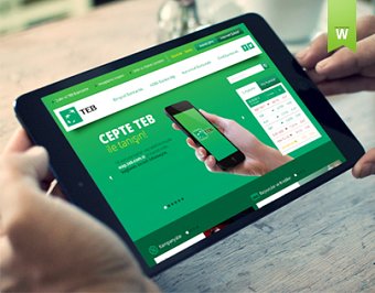 Concept Web Design for TEB