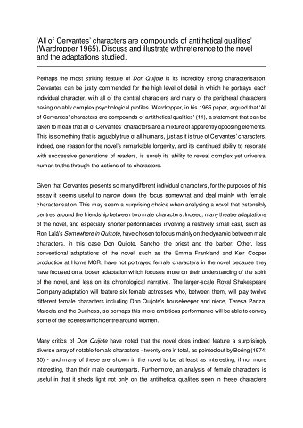 Don Quixote final essay