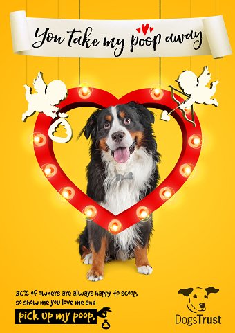 DOG'S TRUST - PICK UP MY POOP