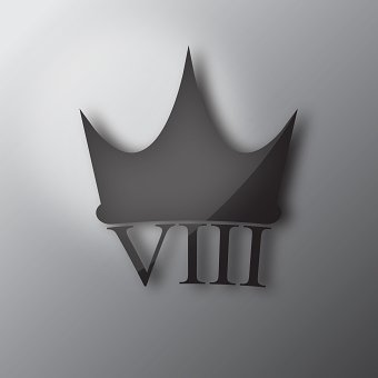 VIII Logo