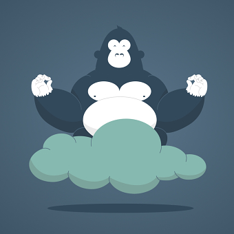 GorillaStack