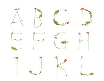 Floriography Typeface