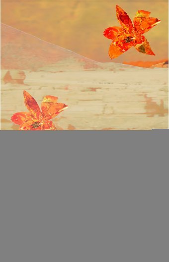 Attia Bashir Portfolio