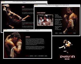 Portfolio