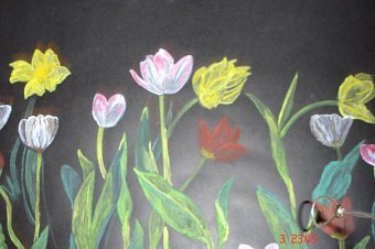 Zeenat Janjua Portfolio
