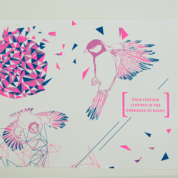 Festival of Birds
