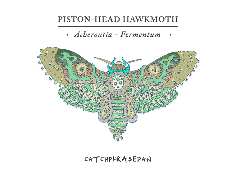 Pistonhead Lager Hawkmoth Illustration