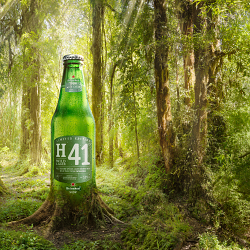 Heineken H41