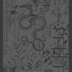 The Occult Illustration series