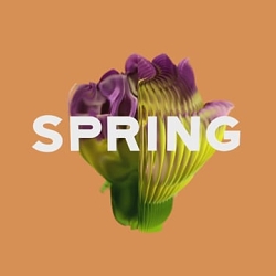 SPRING HAS SPRUNG – MTV International