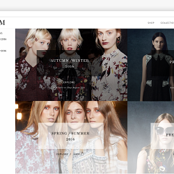 Erdem Web Design Concepts