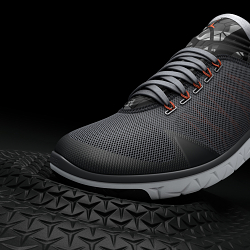 3D Air Jordan Flight Flex trainer