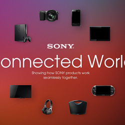 Sony Connected World: Case Study