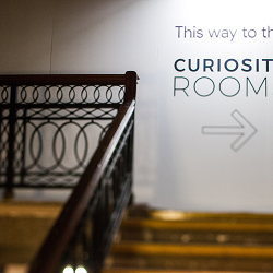The Curiosity Rooms