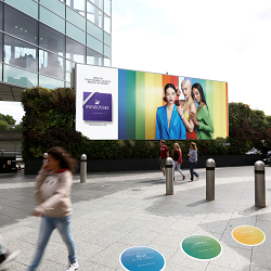 Bring Colour to Summer