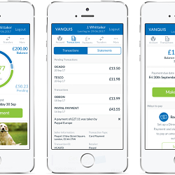 Vanquis Bank app and site - UK App Awards (Best fintech app)