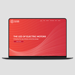 Brand Development and Identity - Future Motors