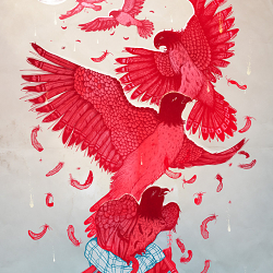 Illustrated Song // Fourth of July (Sufjan Stevens)