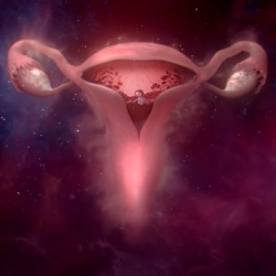 Libresse / #wombstories / AMVBBDO