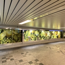 Electrified windows displays